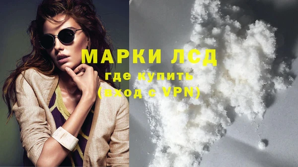 гашик Балахна