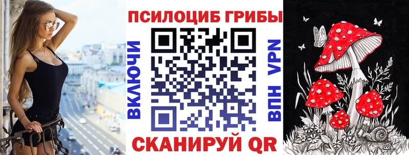 магазин    ОМГ ОМГ зеркало  Галлюциногенные грибы Cubensis  Озёры 