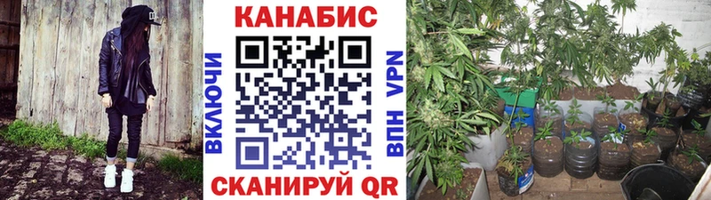 Марихуана THC 21%  Озёры 